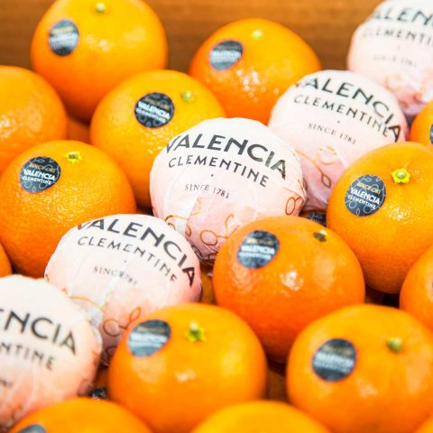 Sesión de fotografía de producto Naranja de Valencia